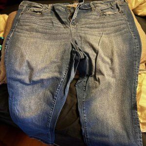 Torrid Jeans